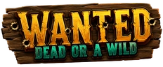 Wanted Dead or a Wild